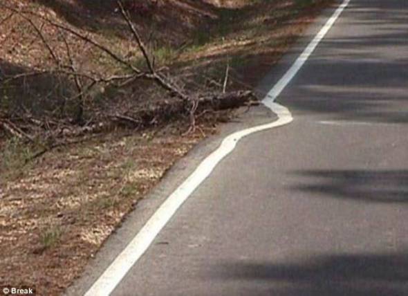 Foto_3_02_6374b8f873