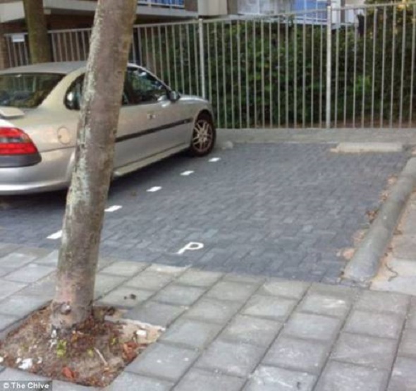 Foto_5_01_942f8aee98