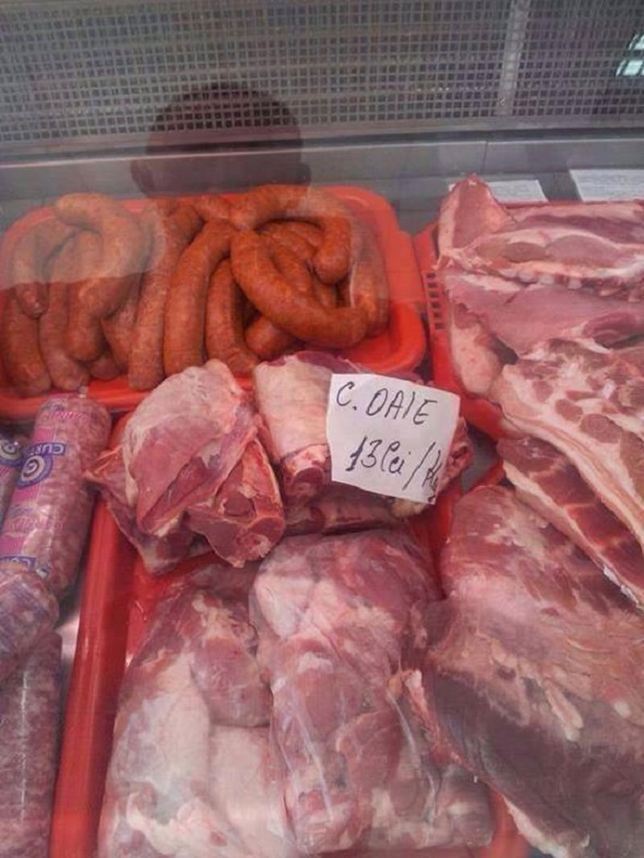 1546202_10151996435086713_361951897_n2