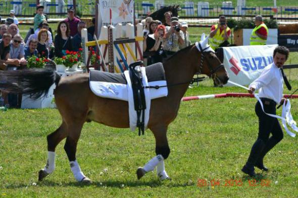 re_re_re_re_DSC_6867