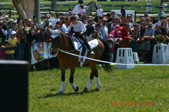 re_re_re_re_DSC_6870