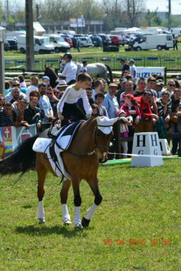 re_re_re_re_DSC_6871