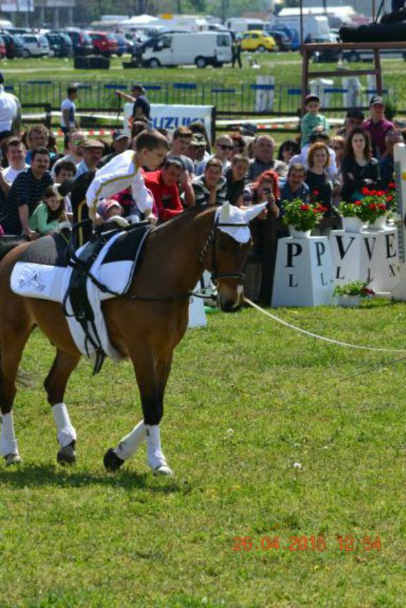 re_re_re_re_DSC_6872