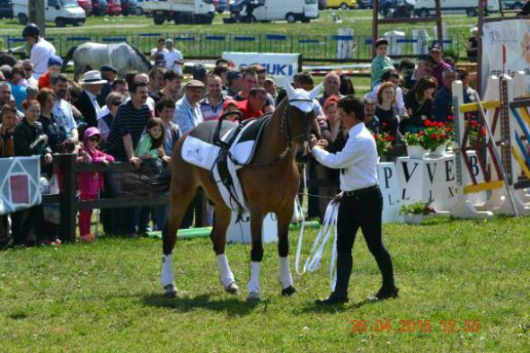 re_re_re_re_DSC_6876