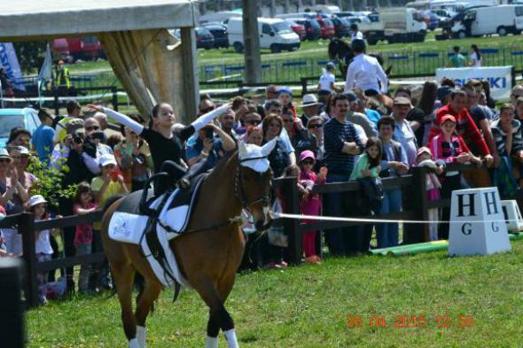 re_re_re_re_DSC_6881