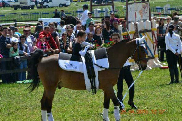 re_re_re_re_DSC_6883