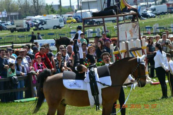 re_re_re_re_DSC_6884