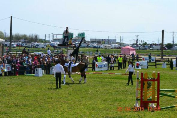 re_re_re_re_DSC_6889