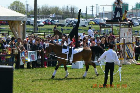 re_re_re_re_DSC_6891