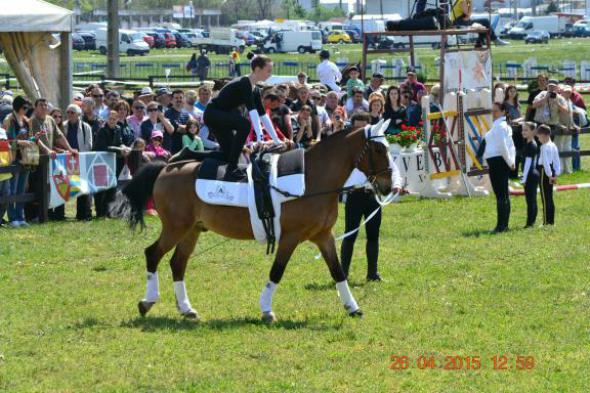 re_re_re_re_DSC_6895