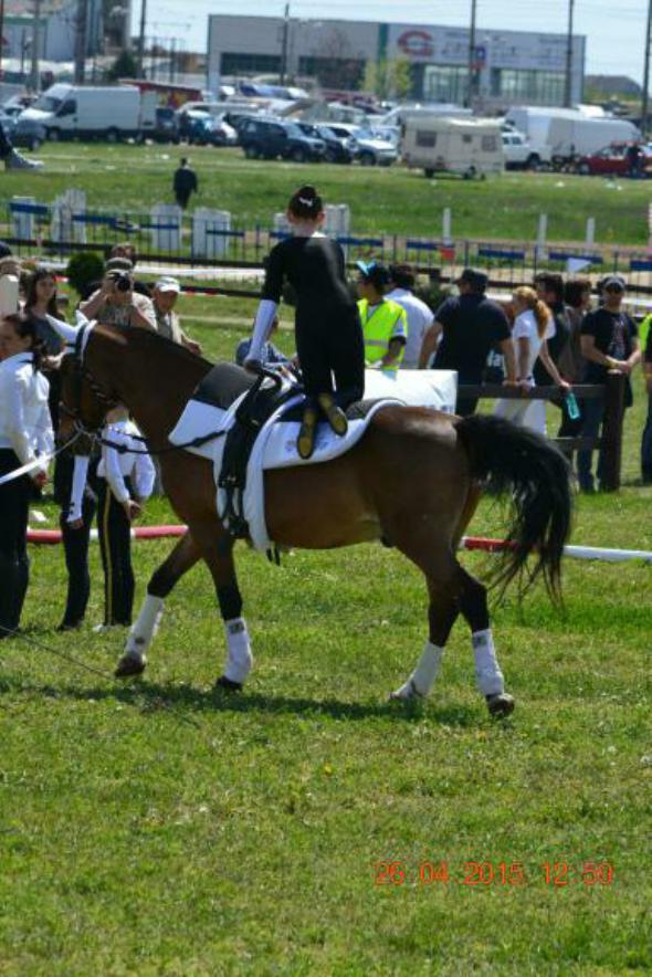 re_re_re_re_DSC_6896