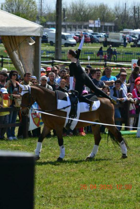 re_re_re_re_DSC_6898