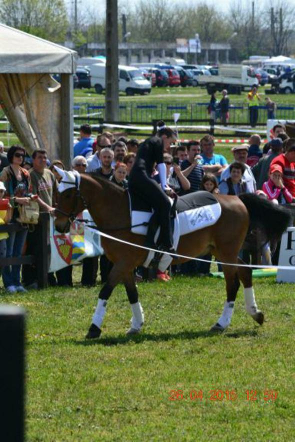 re_re_re_re_DSC_6899