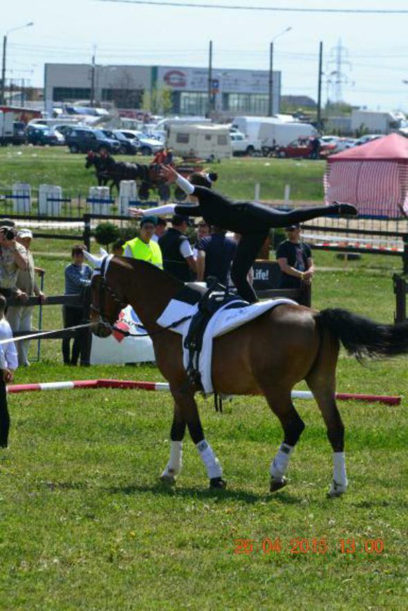 re_re_re_re_DSC_6903