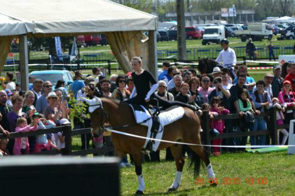 re_re_re_re_DSC_6904