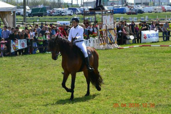 re_re_re_re_DSC_6831