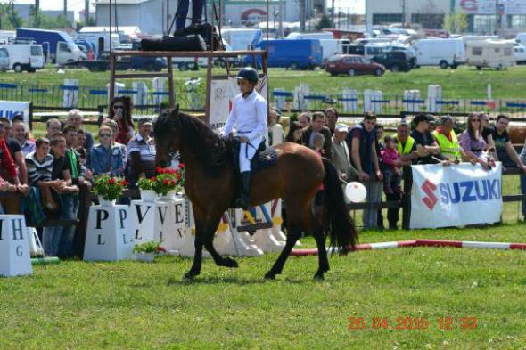 re_re_re_re_DSC_6832