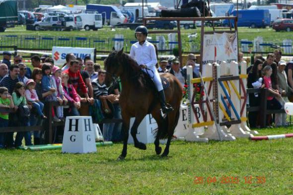 re_re_re_re_DSC_6833