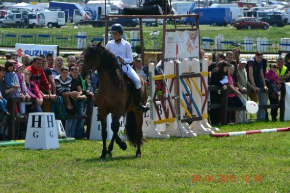 re_re_re_re_DSC_6834