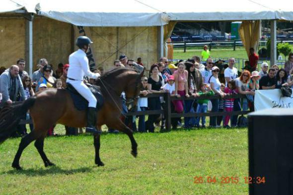 re_re_re_re_DSC_6836