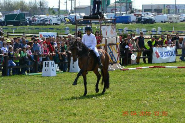 re_re_re_re_DSC_6838