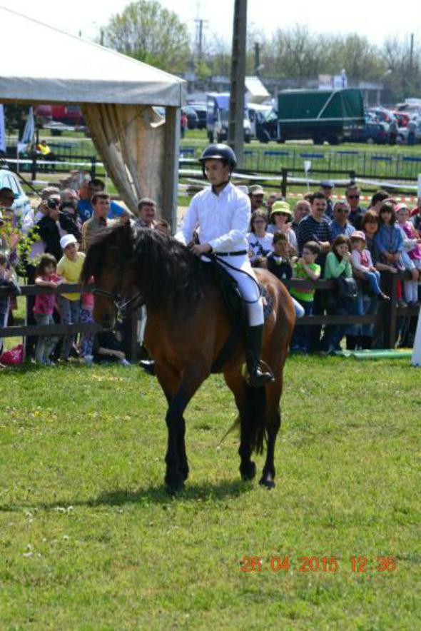 re_re_re_re_DSC_6840