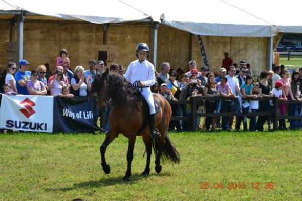 re_re_re_re_DSC_6841