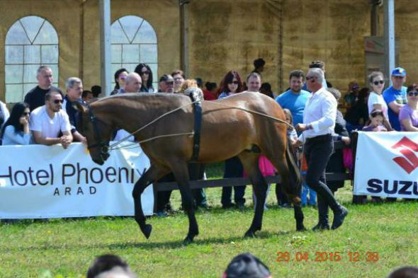 re_re_re_re_DSC_6843