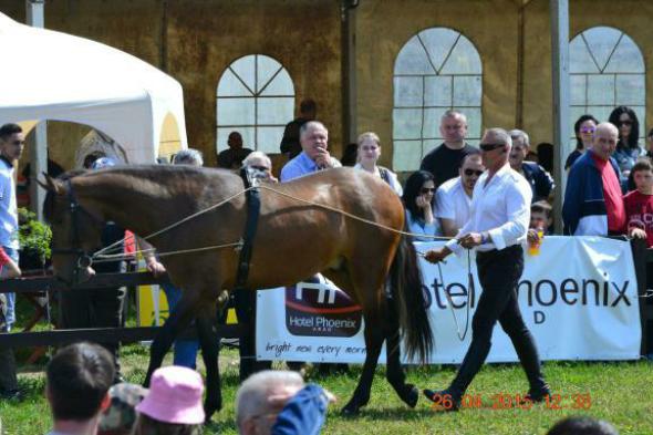 re_re_re_re_DSC_6844