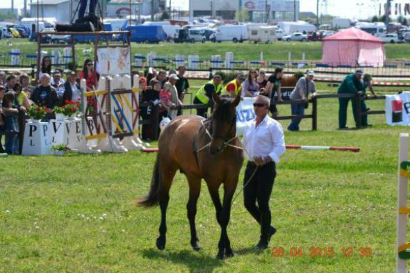 re_re_re_re_DSC_6845