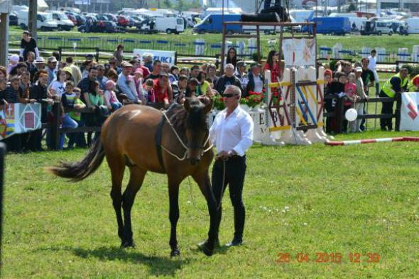 re_re_re_re_DSC_6846