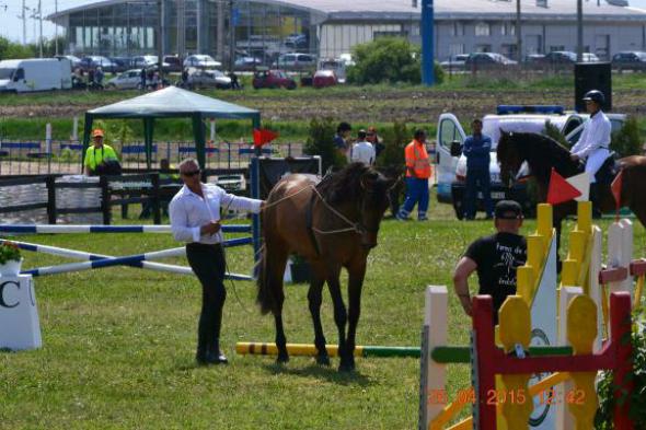 re_re_re_re_DSC_6849