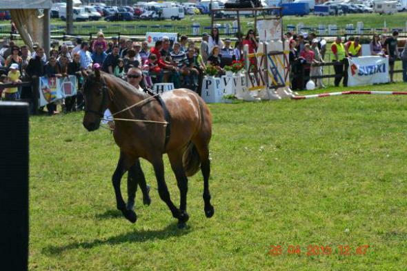 re_re_re_re_DSC_6850