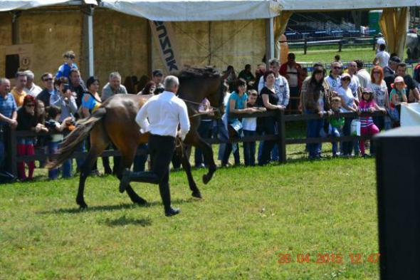 re_re_re_re_DSC_6851