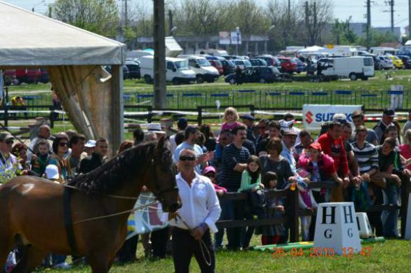 re_re_re_re_DSC_6852