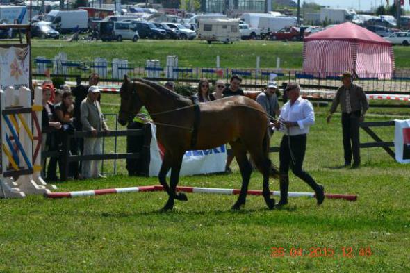 re_re_re_re_DSC_6855