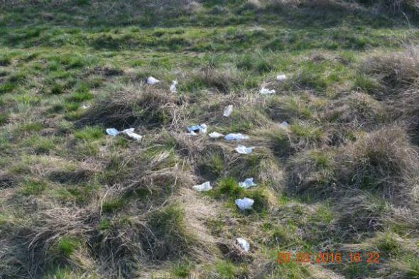 re_re_re_re_DSC_3581