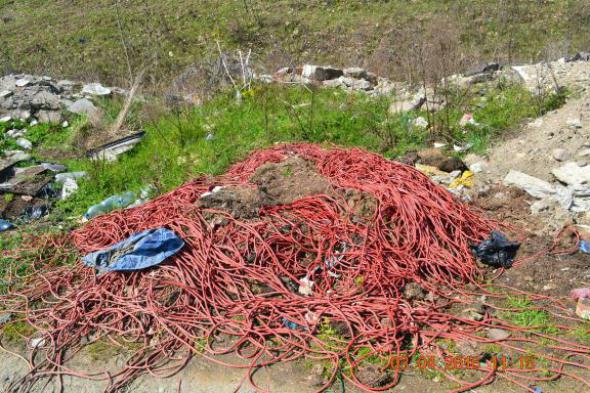 re_re_re_re_DSC_3645