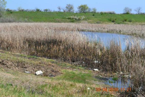 re_re_re_re_DSC_3659