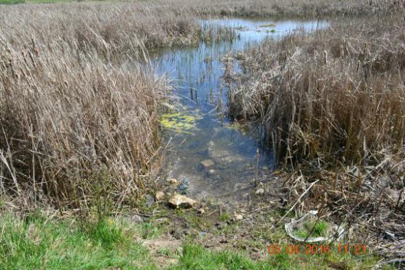 re_re_re_re_DSC_3661