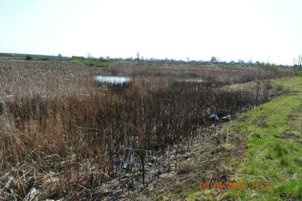 re_re_re_re_DSC_3662