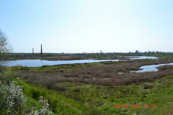 re_re_re_re_DSC_3667