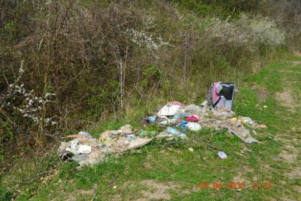 re_re_re_re_DSC_3733