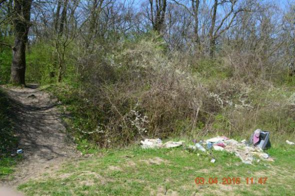 re_re_re_re_DSC_3734